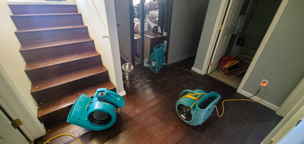 Best Flood restoration services  in Howe, TX
