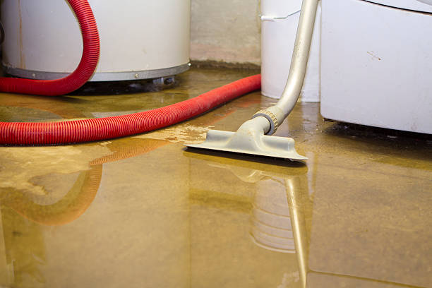 Best Water damage cleanup near me  in Howe, TX