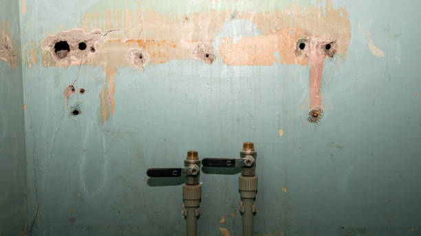 Best Water damage restoration near me  in Howe, TX